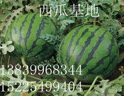 潍坊新瓜最新爆料,揭秘背后惊人真相  第2张